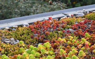 the cost of St Mawes green roof installation