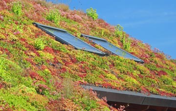 St Mawes living roof systems